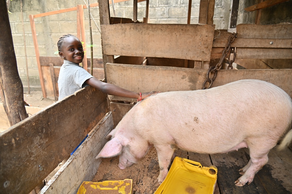 關懷議題 進階方案－師資培養、生計培訓 封面照片