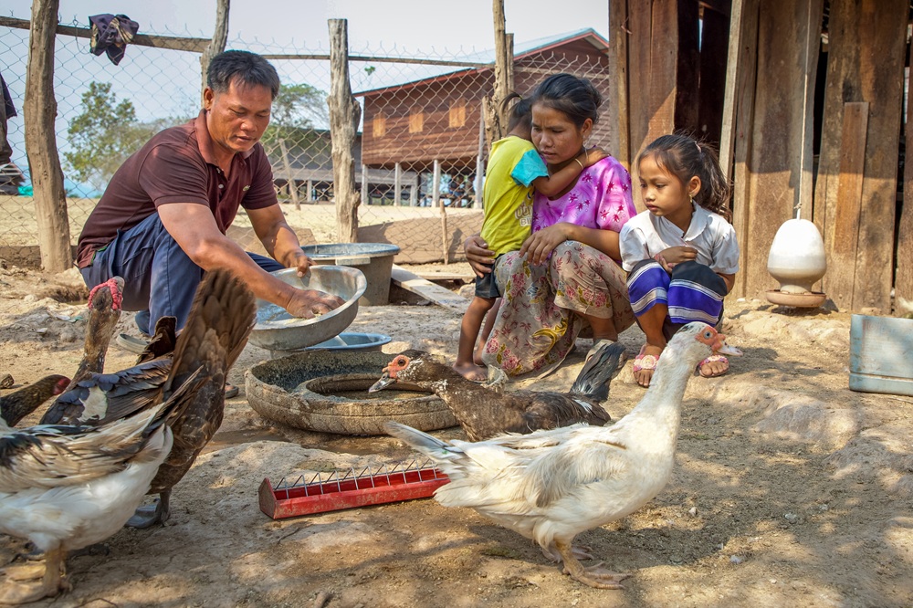 關懷議題 村莊的秘密-動物飼養（B-1） 封面照片
