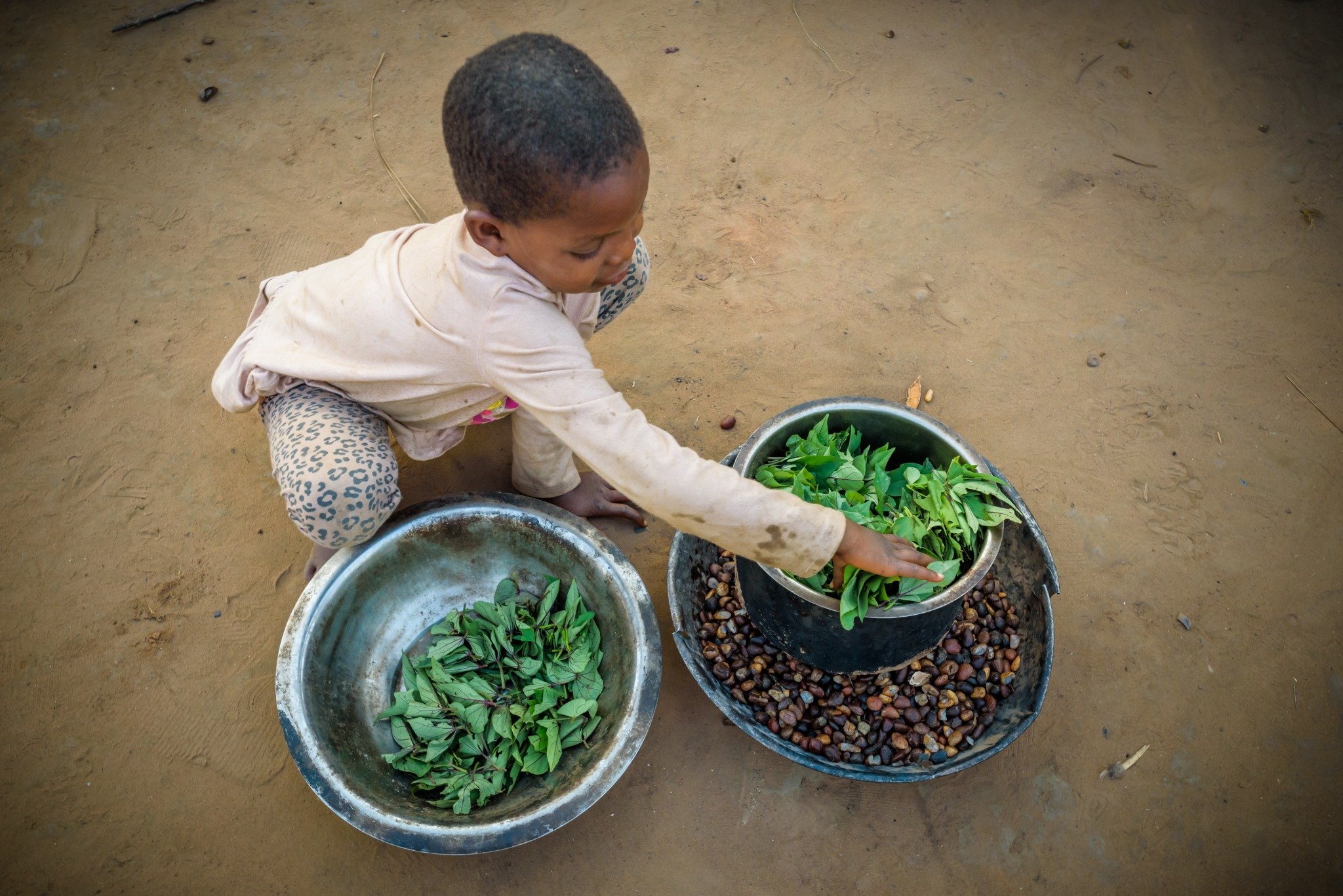 全球「消除飢餓」議題大解析：台灣會面臨哪些目標行動的挑戰？ 封面照片